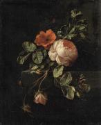 Картина Натюрморт с розами, Элиас Ван ден Брук